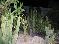 Cairns12 Changi Airport